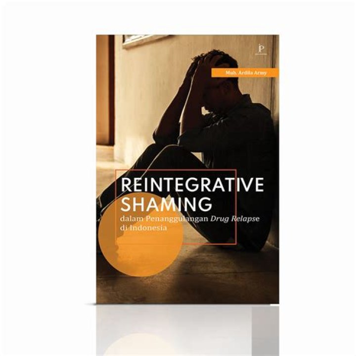 What is meant by disintegrative and reintegrative shaming?