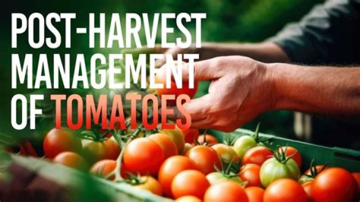 What is meant by postharvest losses?