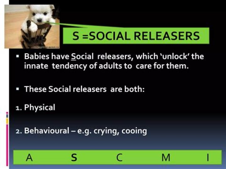 What is meant by social releasers?