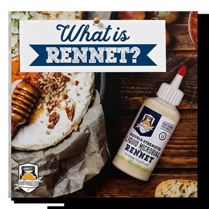 What is microbial rennet?