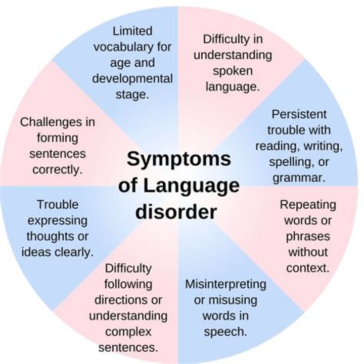 What is monosemic language?