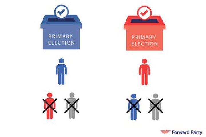What is partisan election?