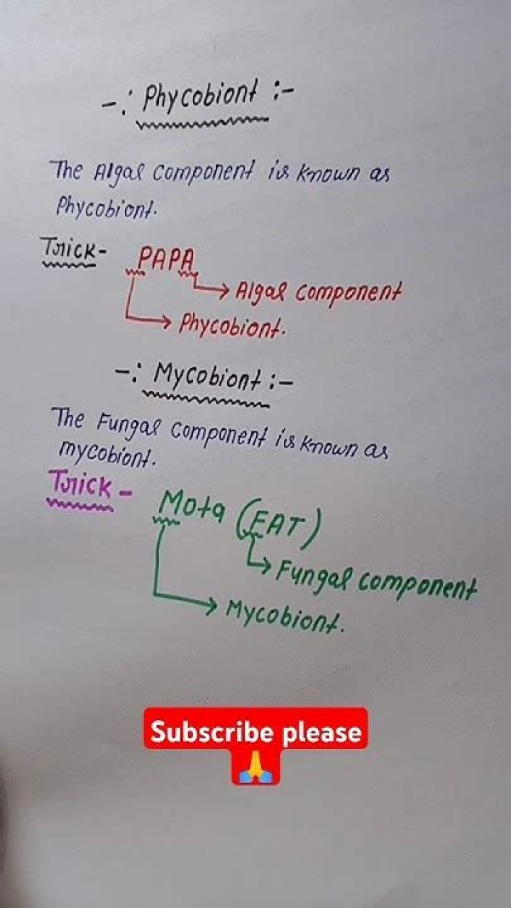 What is phycobiont and mycobiont?