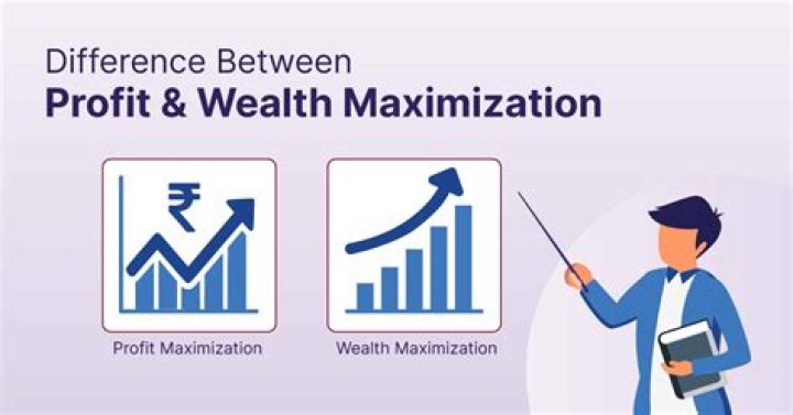 What is profit seeking mean?