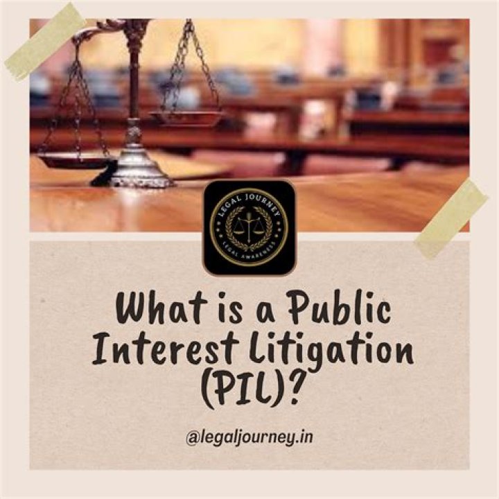 What is public interest lawyering in india?