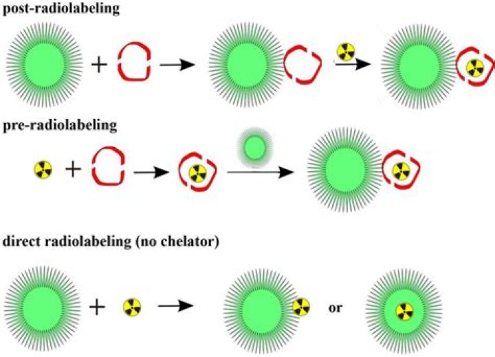 What is radiolabeling techniques?