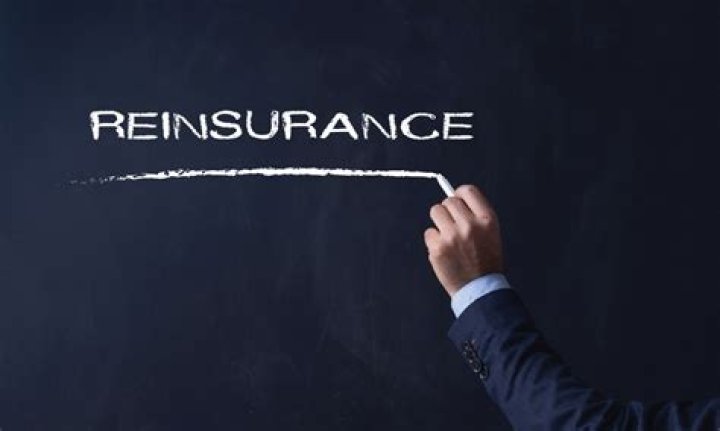 What is reinsurer cedent?
