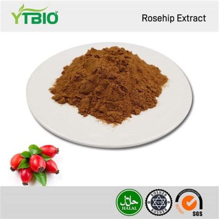 What is rosehip extract?