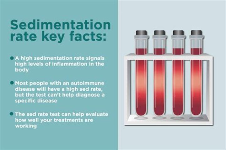 What is sedimentation rate?