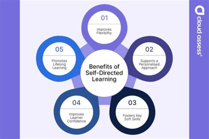 What is self directed learner?