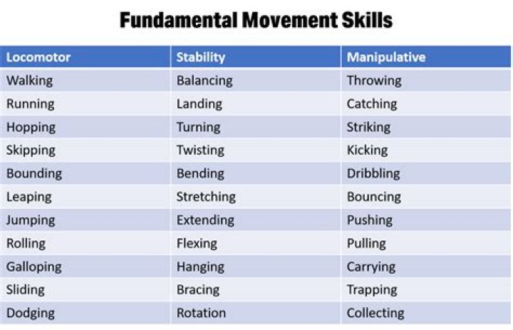 What is skilful movement?
