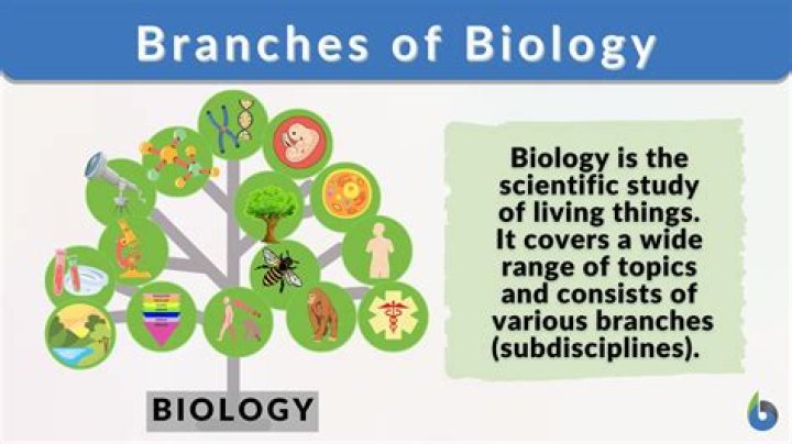 What is tetrarch in biology?