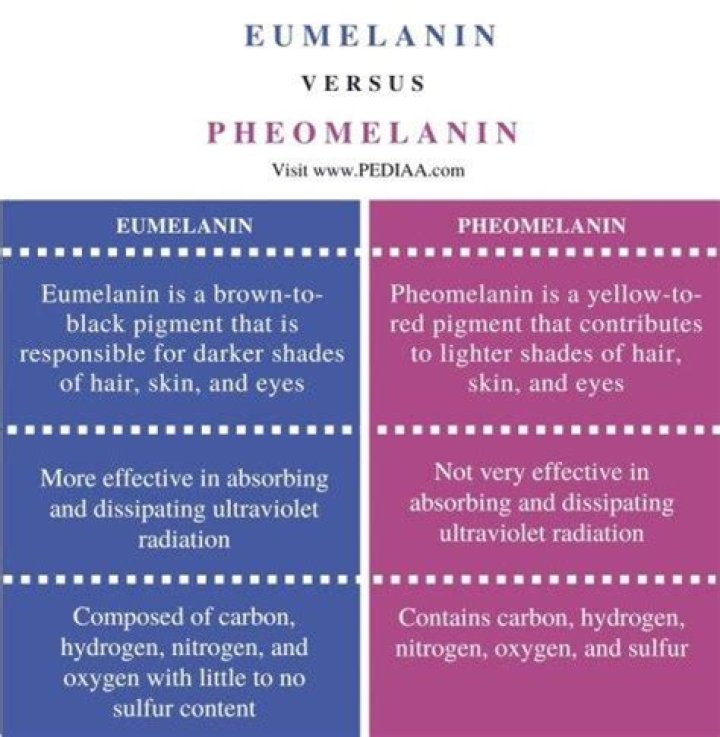 What is the difference between eumelanin and pheomelanin?