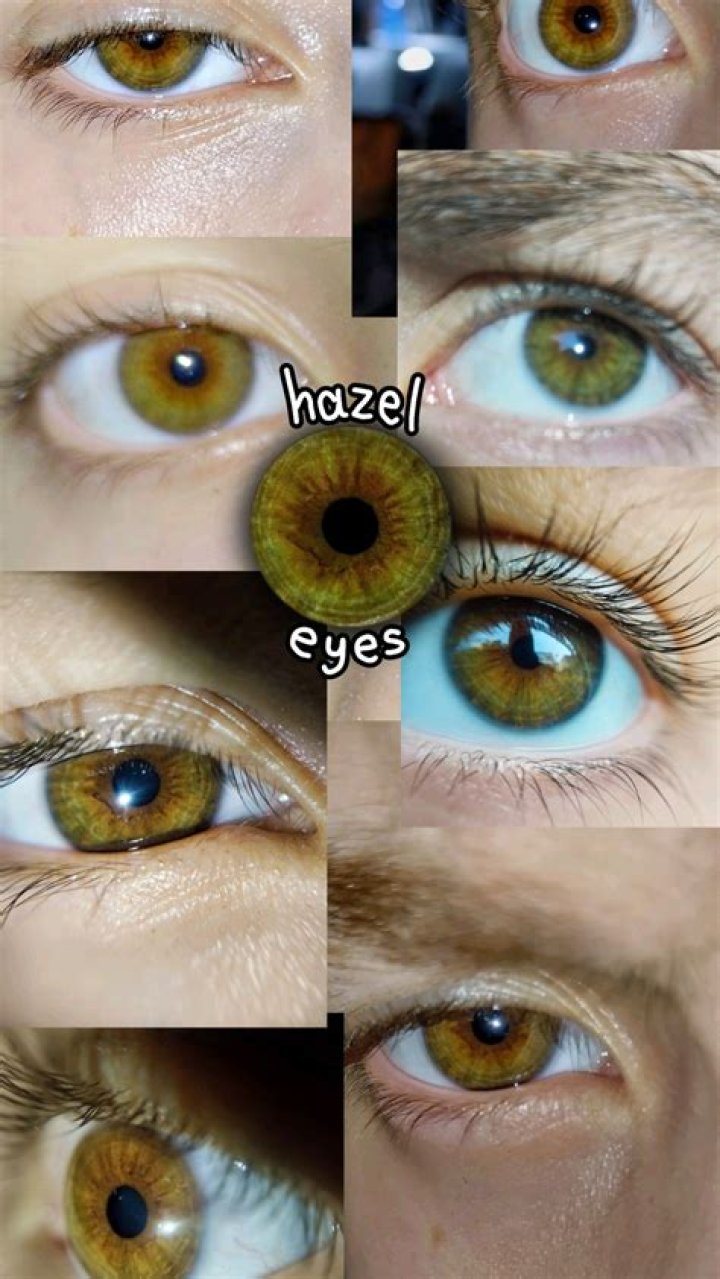 What is the difference between gray and hazel eyes?