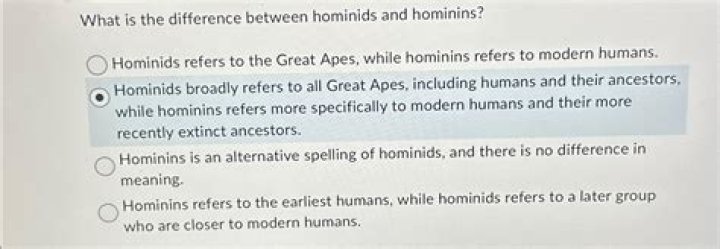 What is the difference between hominids and humans?