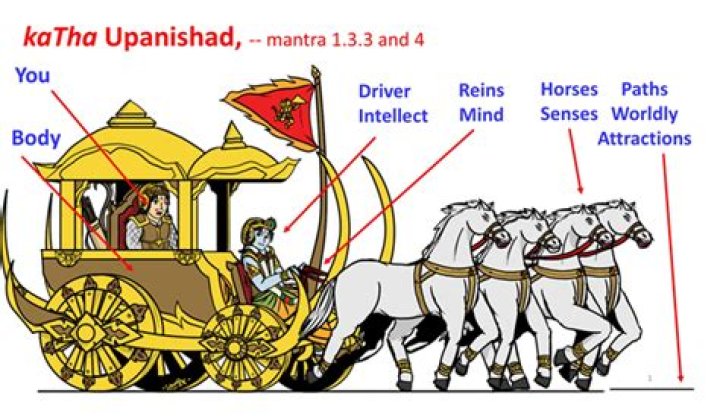 What is the essence of kathopanishad?