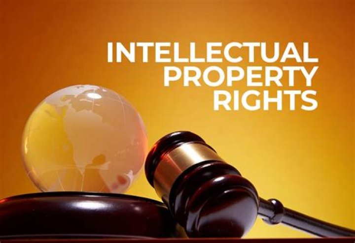 What is the importance of recognising intellectual property rights?