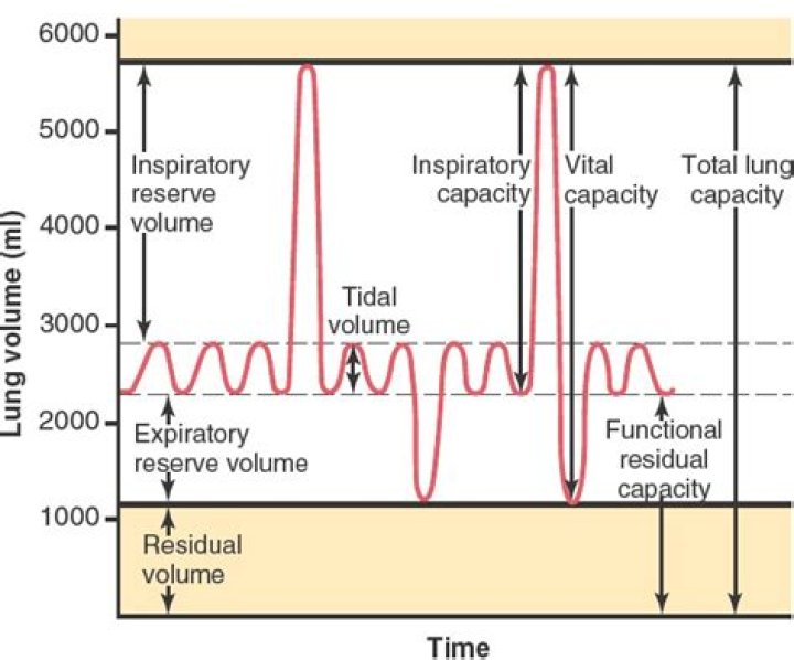 What is the inspiratory capacity?