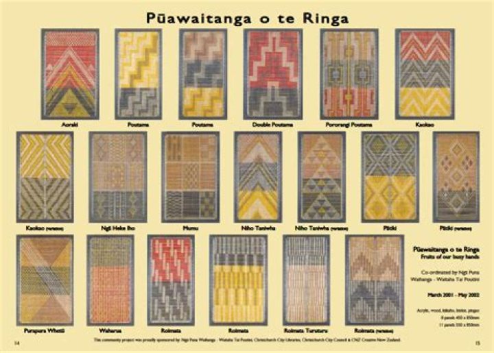 What is the meaning of tukutuku?