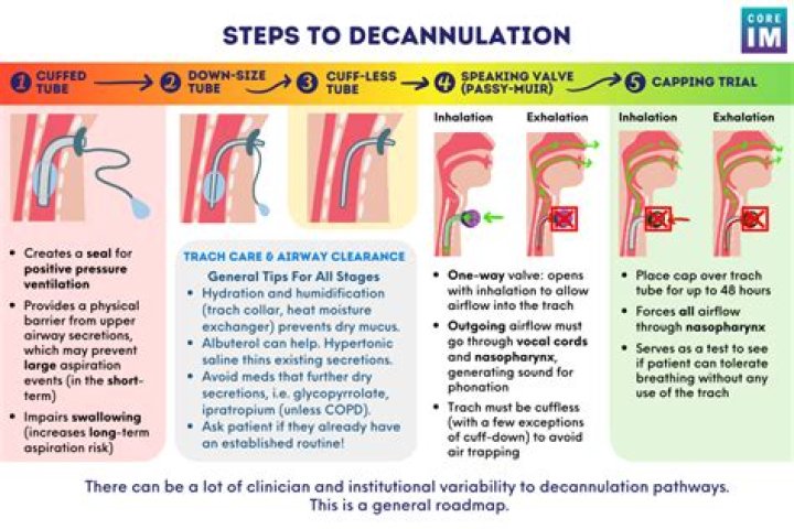 What is the medical term for esophagodynia?