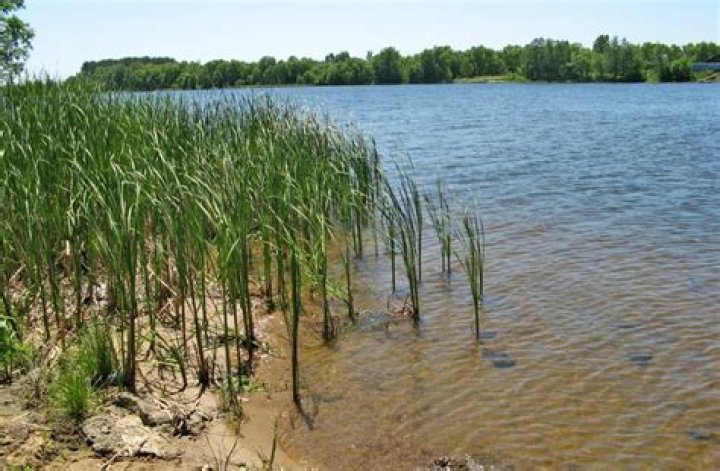 What is the riverbank treasure house?