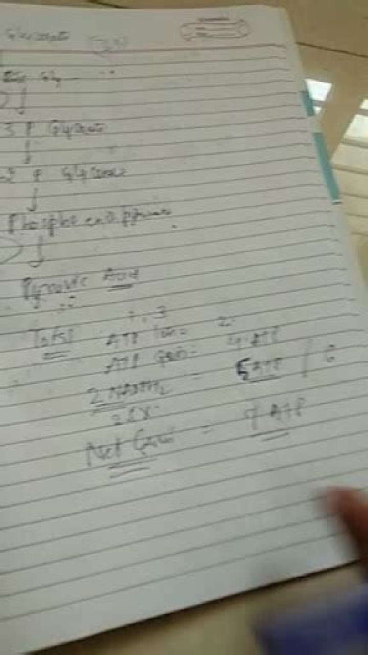 What is the significance of stepwise release of energy in respiration?