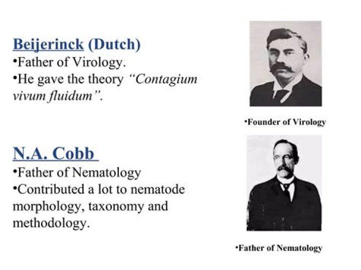 What is the work of nematology?