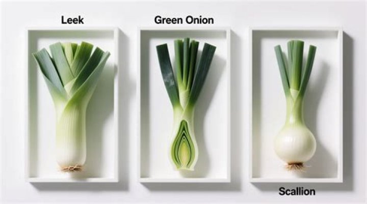 What leeks look like?