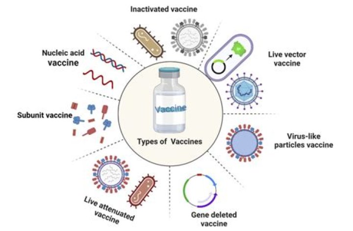 What medications contraindicated live vaccines?