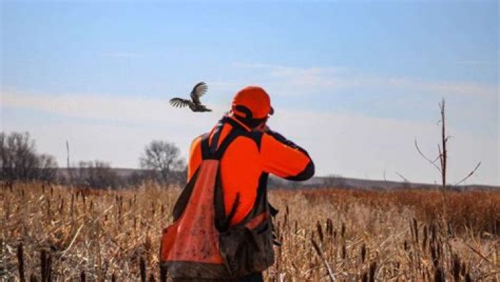What season is pheasant hunting?