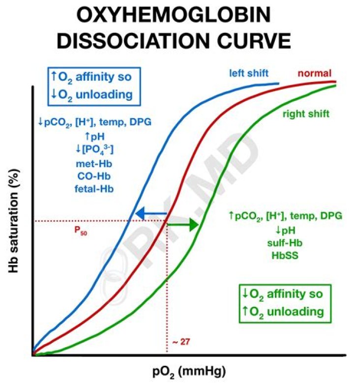 What shifts the oxyhemoglobin dissociation curve to the left?