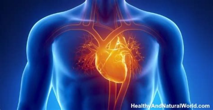 What side is the heart on?