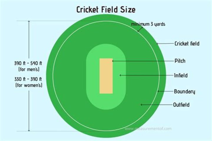What size cricket pitch?