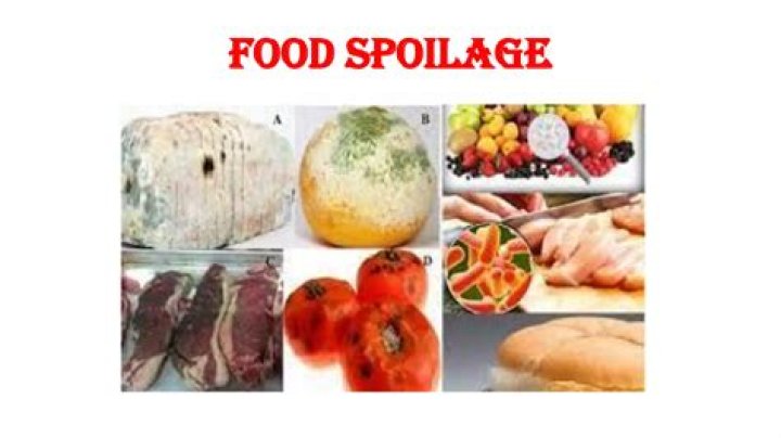 What spoilage of food?