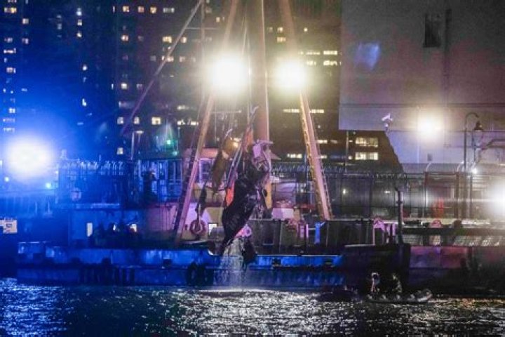 What to do in hammonton nj?