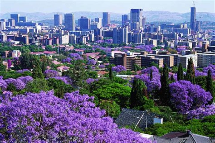 What to do in pretoria?