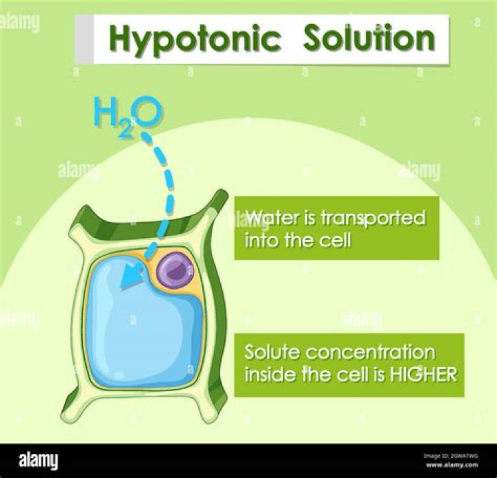 Whats a hypotonic solution?