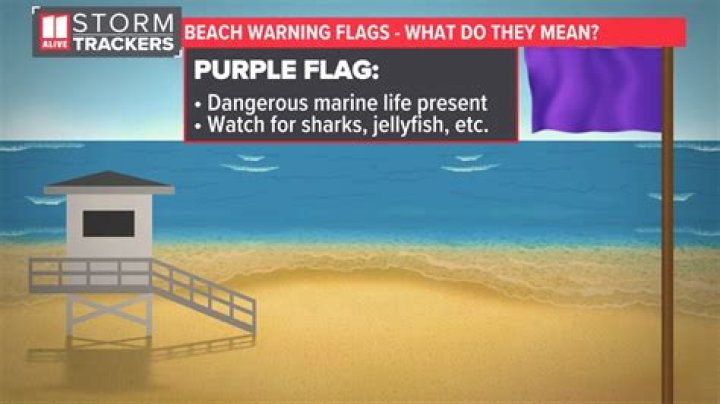 Whats a red flag on the beach mean?