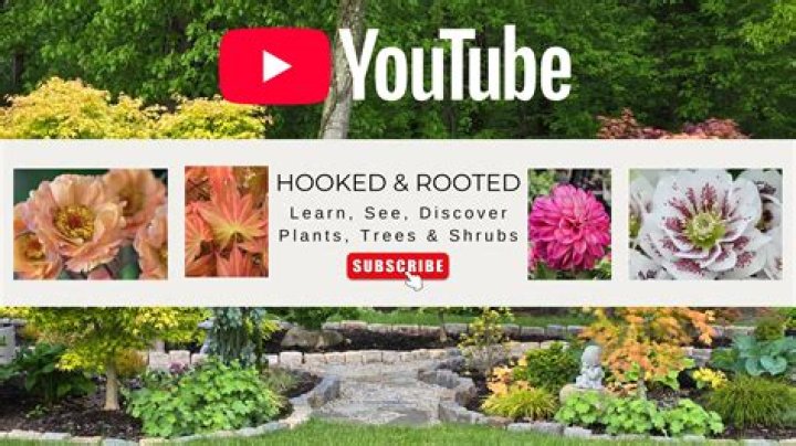 Whats a rooted device?