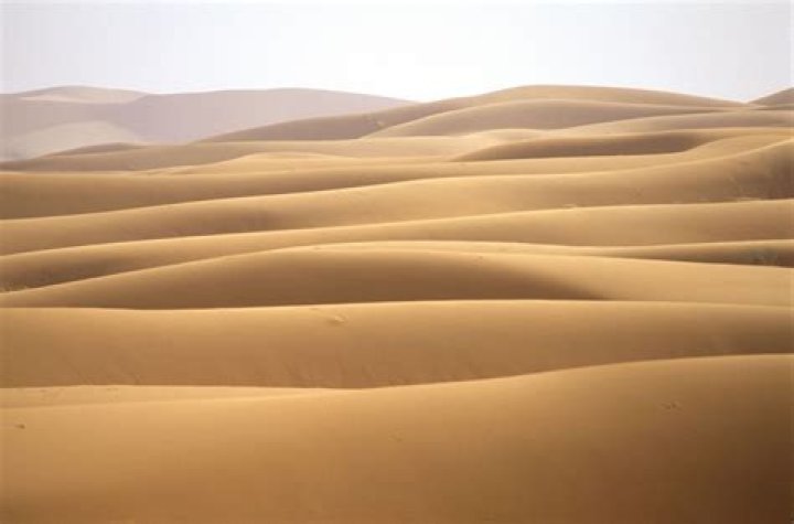 Whats a sand dune?