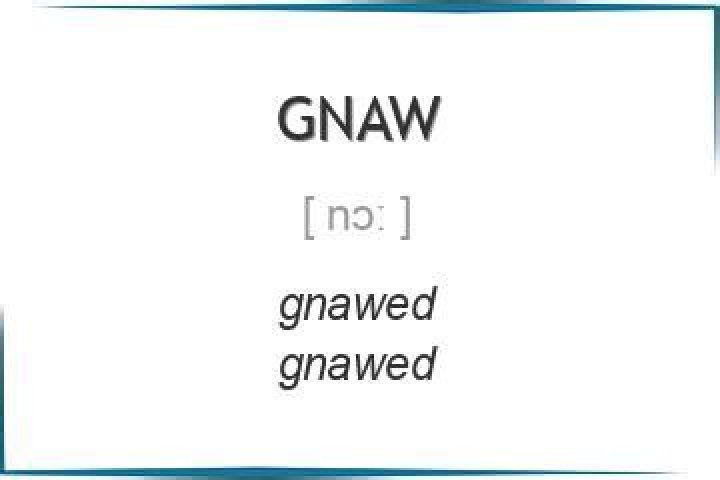 Whats a sentence with gnaw?
