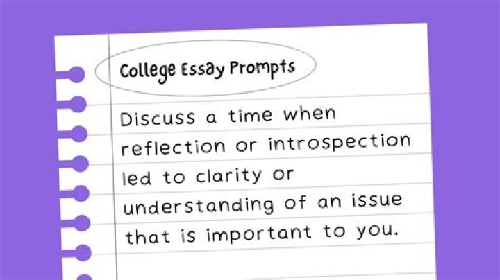 Whats an essay prompt?