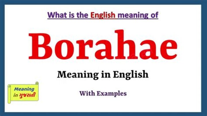 Whats borahae in english?