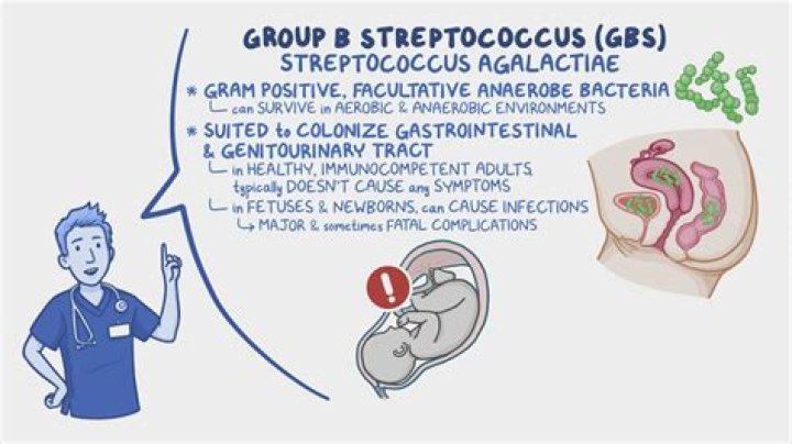 Whats group b streptococcus?