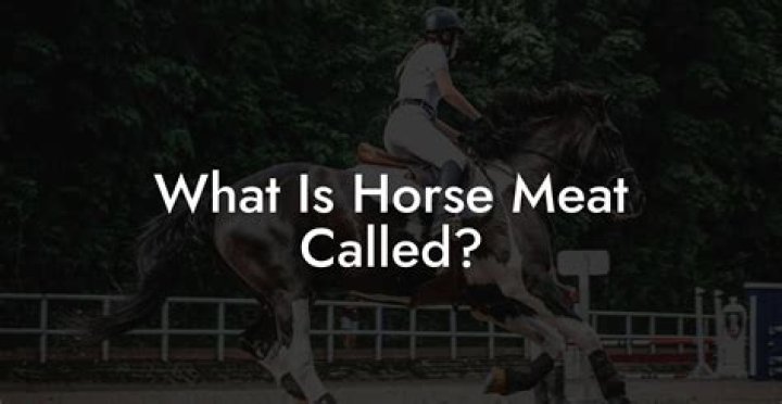Whats horse meat like?