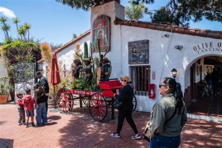 Whats open in san diego for tourists?