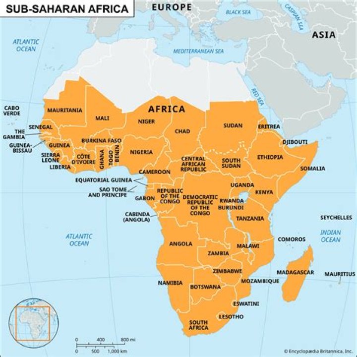 Whats sub saharan africa?