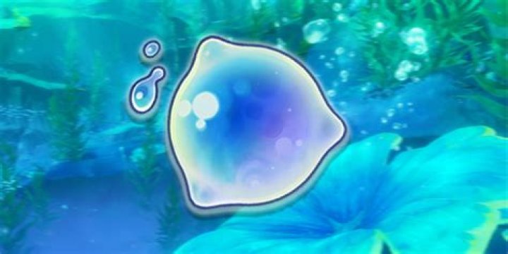 Whats the definition of dewdrop?