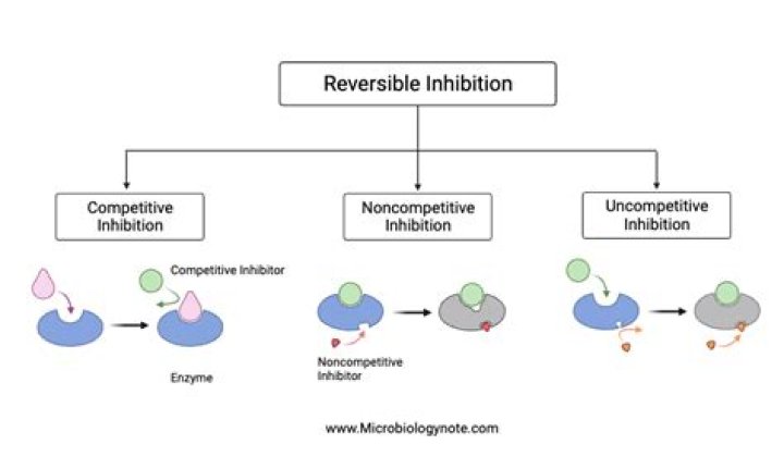 Whats the definition of inhibition?