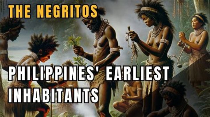 Whats the definition of negrito?